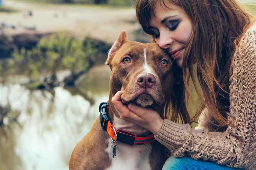 Rescue Pitbull Names