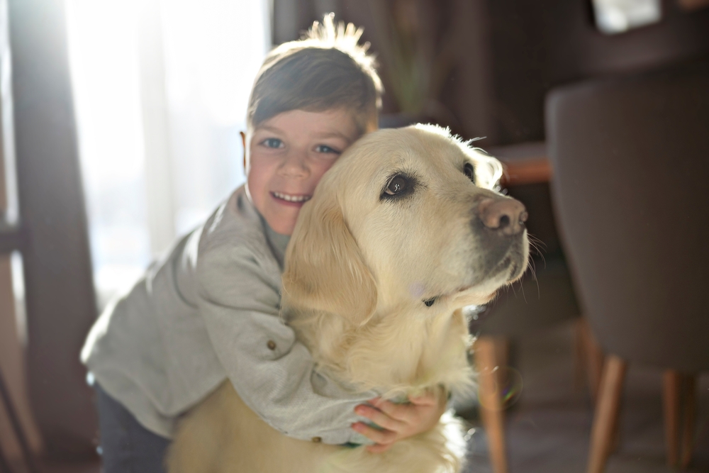 Golden Retriever Energy Names