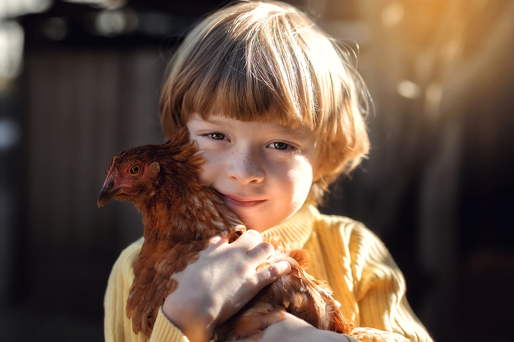 Cool names for Chickens