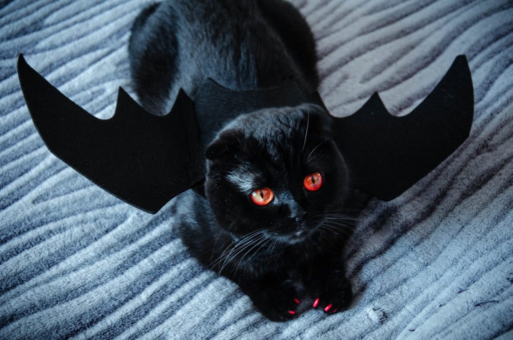 Fun Comic book names for Cats