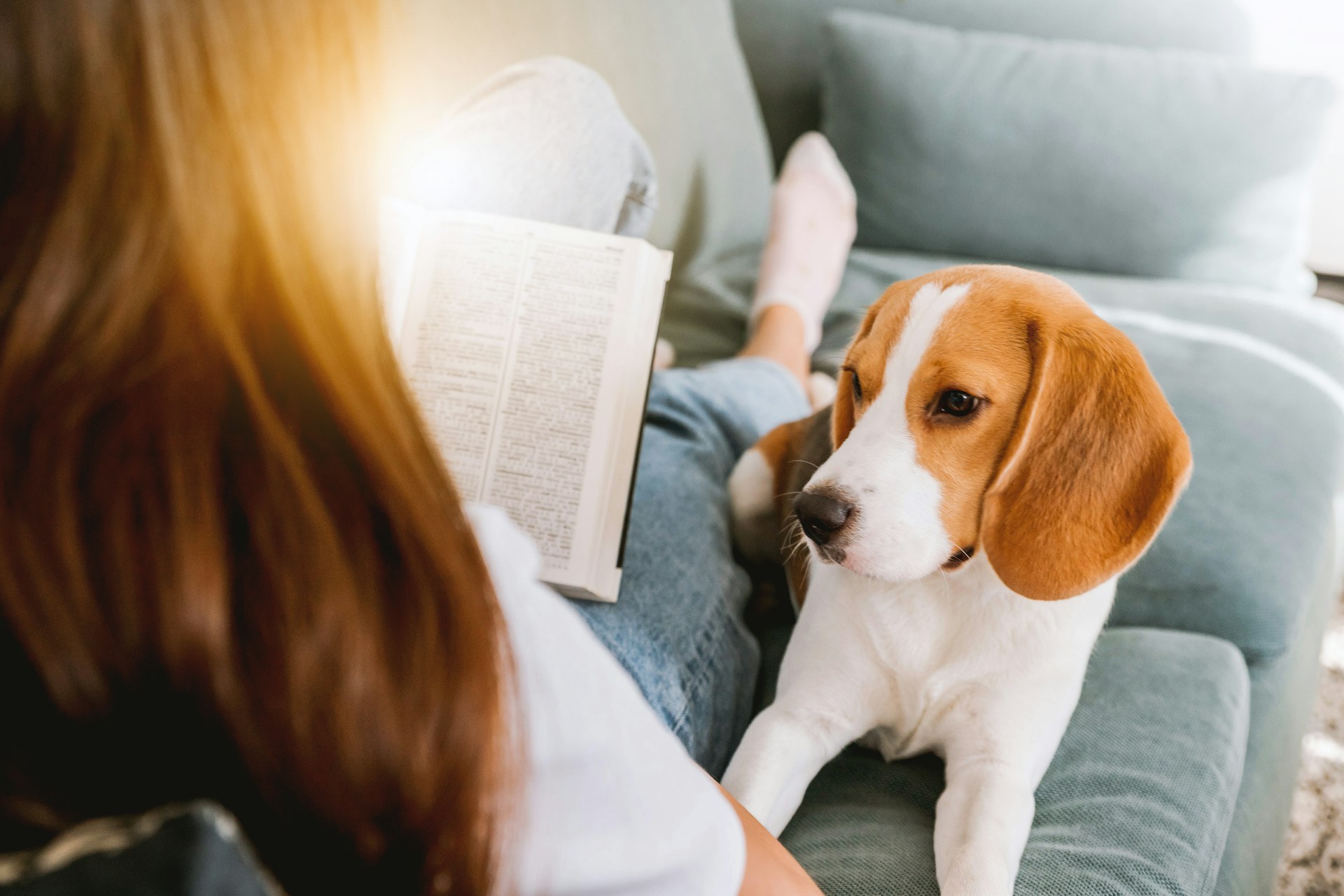 Dogs Names Inspired by Classic Literature
