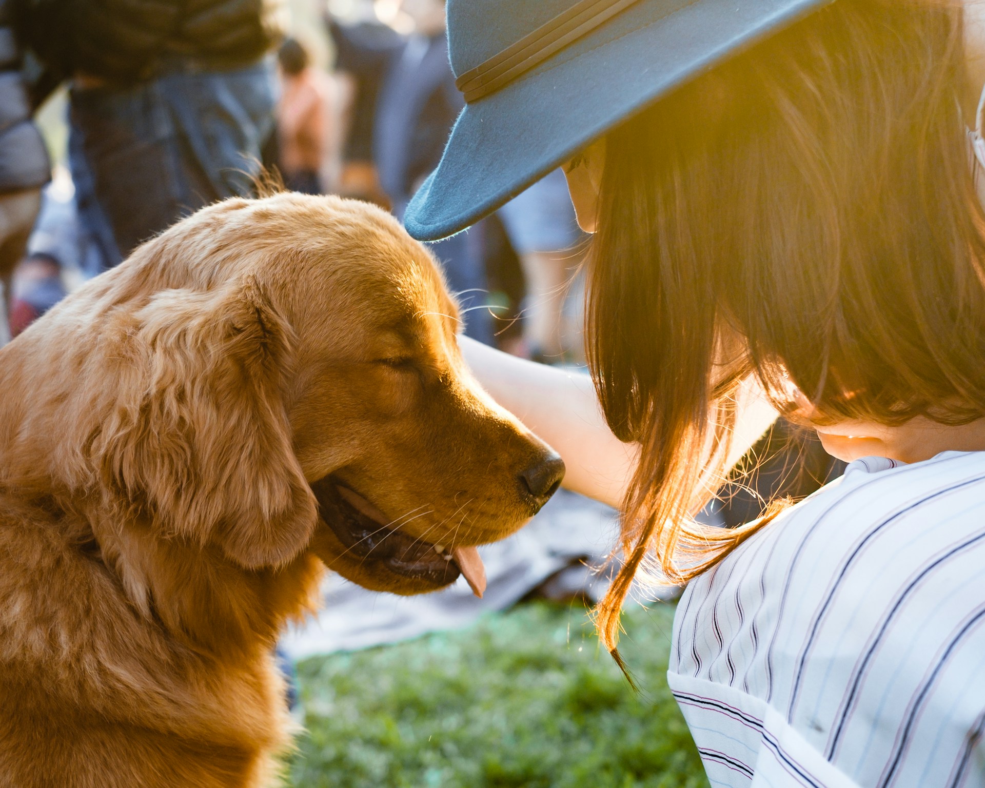 Musician-Inspired Names for Melodic Dogs