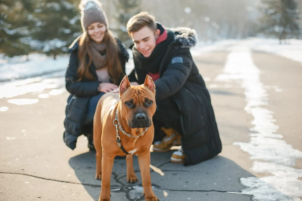 couple with their pet dog